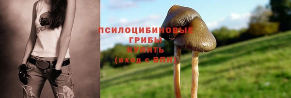 MDMA Premium VHQ Зерноград