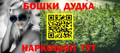 прущие грибы Изобильный