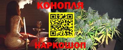 прущие грибы Изобильный