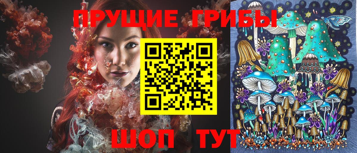 магазин продажи   Галлюциногенные грибы прущие грибы  Солнечногорск  Галлюциногенные грибы GOLDEN TEACHER 