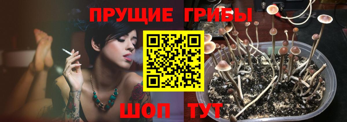 Псилоцибиновые грибы мицелий Солнечногорск