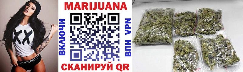 Шишки марихуана OG Kush Солнечногорск